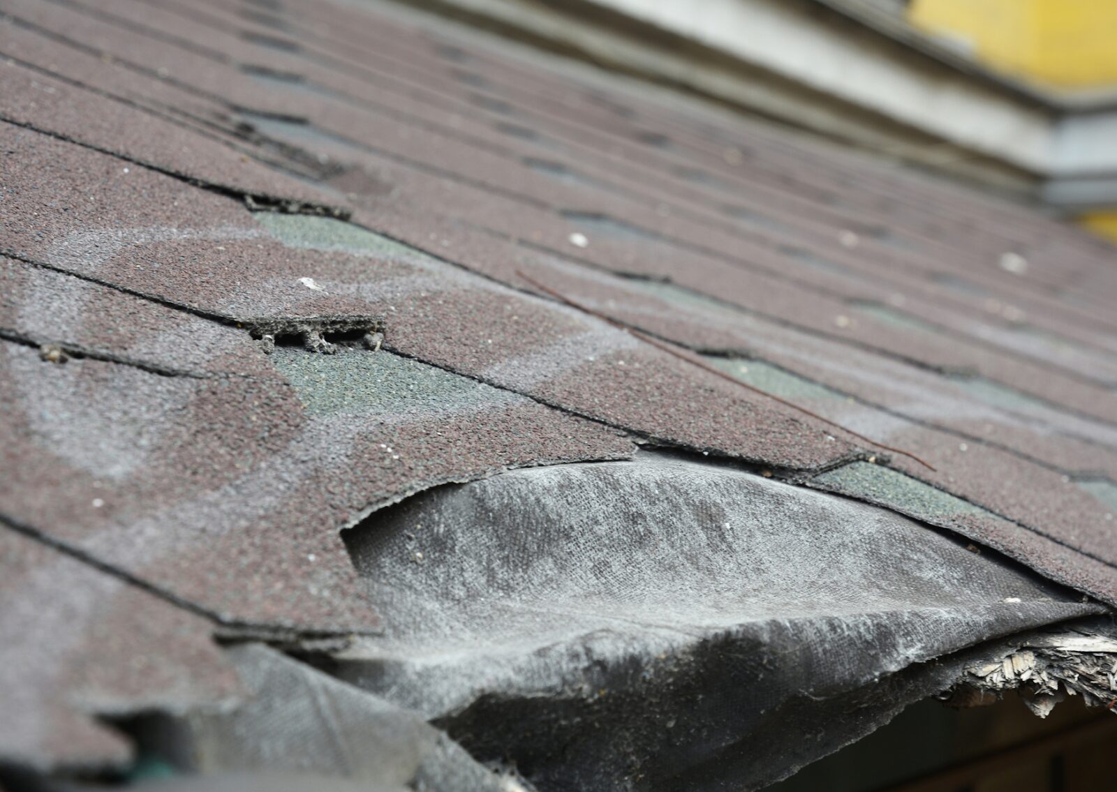 Close-up of a damaged roof with missing and curled shingles, highlighting the urgent need for roof repair.