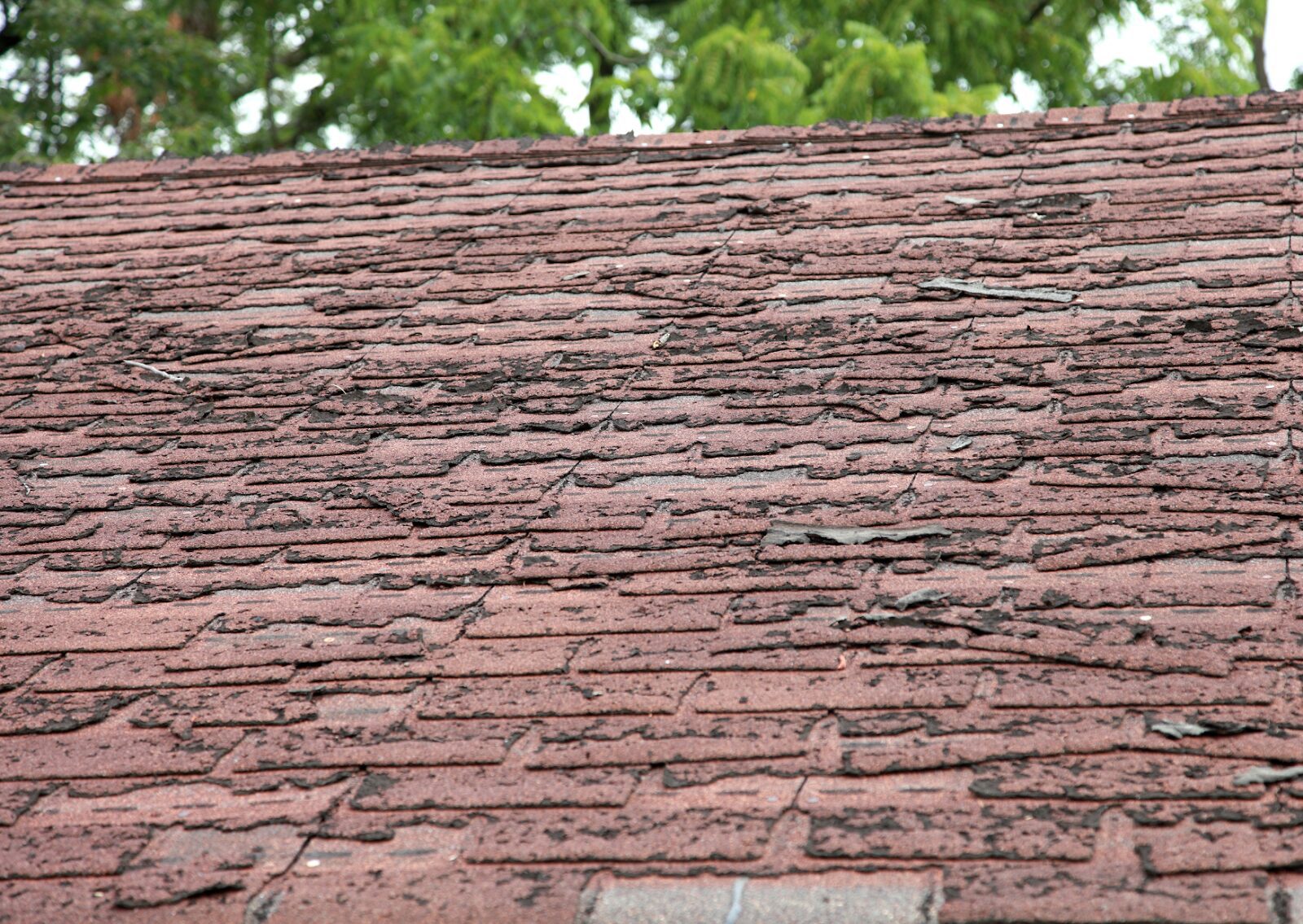 Close-up of deteriorated shingles on an old roof, illustrating signs of wear and tear. How do I know if I need a new roof?