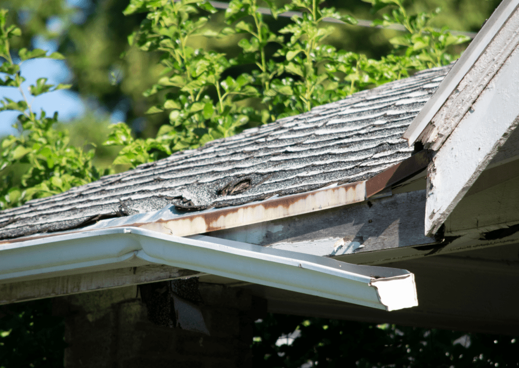 Damaged roof shingles and gutter are in need of repair, highlighting the importance of regular roof and gutter maintenance.