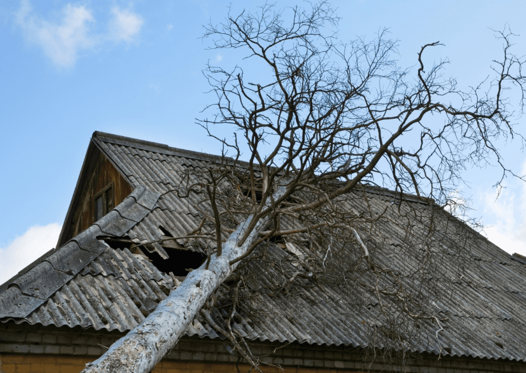 Damaged roof caused by a fallen tree, showing structural damage from storm or wind impact.