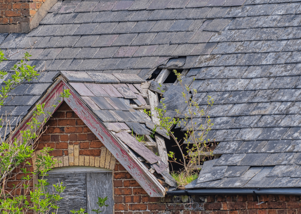 Damaged roof with missing tiles and overgrown vegetation, requiring urgent repair.