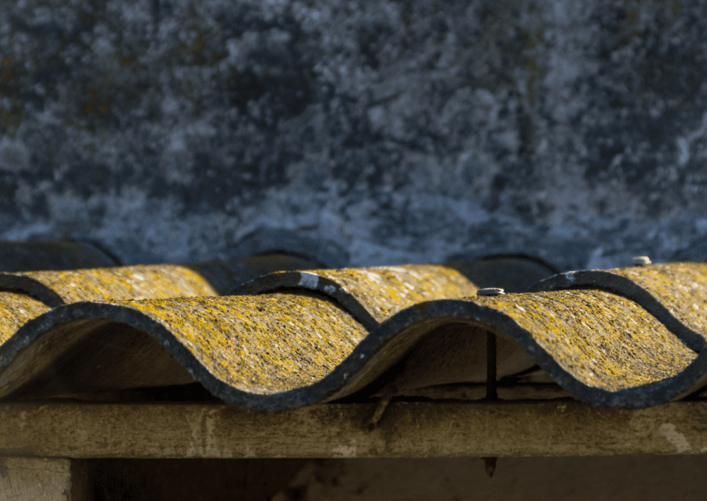 Close-up of old, moss-covered roof tiles, highlighting the need for roof maintenance and cleaning.