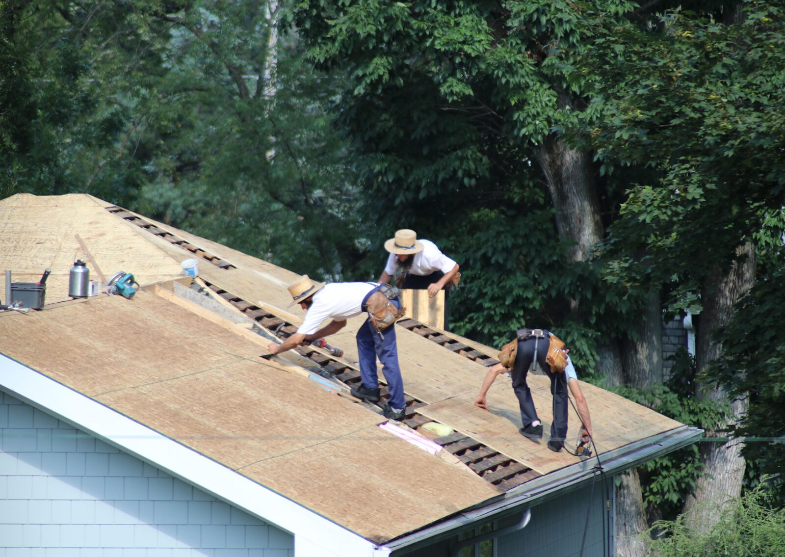 Roofers installing plywood sheathing on a house roof as part of professional residential roofing services.
